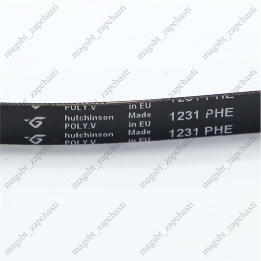 Washing Machine Belt 1231 H8 PHE Hutchinson (CANDY 41003164) photo 2 - Washing Machine Belt 1231 H8 PHE Hutchinson (CANDY 41003164) photo 2 -
