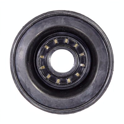 *Tub oil seal 25x52/103x8/24 TZ photo 2455430