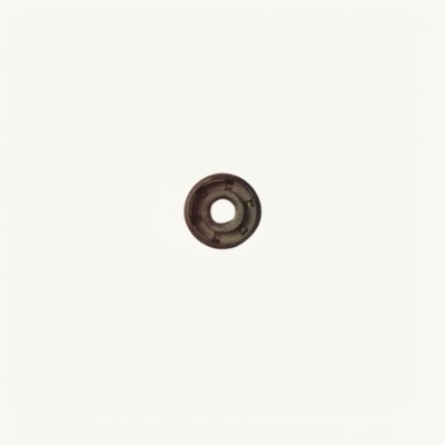 Tank oil seal 08x22x07 G NQK photo 2455120 Tank oil seal 08x22x07 G NQK photo 2455120