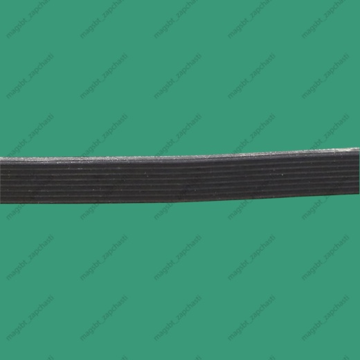 *Belt 1287 H8 PHE WHIRLPOOL 481281718171 photo 3 - *Belt 1287 H8 PHE WHIRLPOOL 481281718171 photo 3 -