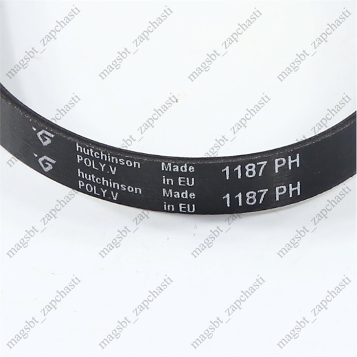 Belt 1187 H7 PH photo 2 - Belt 1187 H7 PH photo 2 -