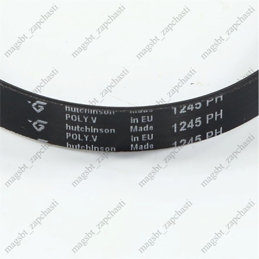 *Belt of the washing machine 1245 H8 PH Hutchinson (FAGOR 51X7304) photo 2 - *Belt of the washing machine 1245 H8 PH Hutchinson (FAGOR 51X7304) photo 2 -