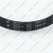 2598_3 *Belt of the washing machine 1245 H8 PH Hutchinson (FAGOR 51X7304) photo 4 -