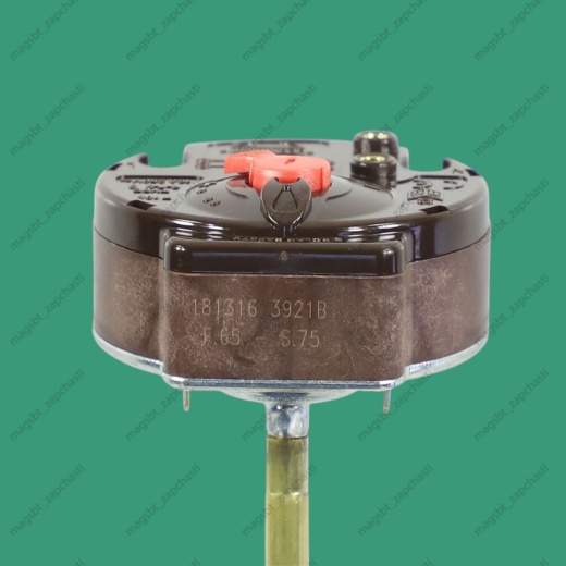 Thermostat i/n rod 65/75˚C 16A L300mm THERMOWATT RTS 3 photo 3 - 