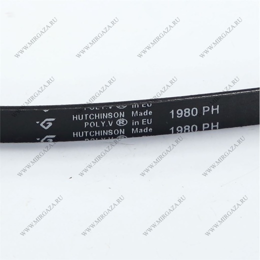 Вrying machine belt 1980 H7 PH Hutchinson (WHIRLPOOL 481281728435) photo 2 - 