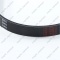 16190_2 *Belt 230J L570mm photo 3 -