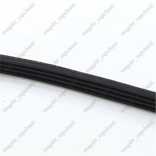 *Belt 1123 J4 PJ ARISTON 056782 photo 3 - *Belt 1123 J4 PJ ARISTON 056782 photo 3 -