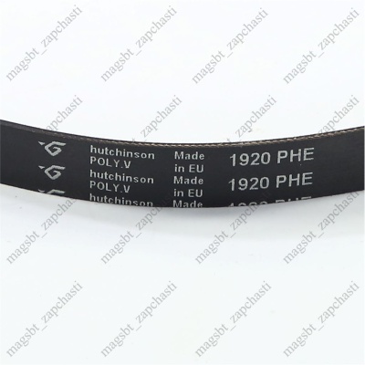 Belt 1920 H7 photo 2378112 Belt 1920 H7 photo 2378112