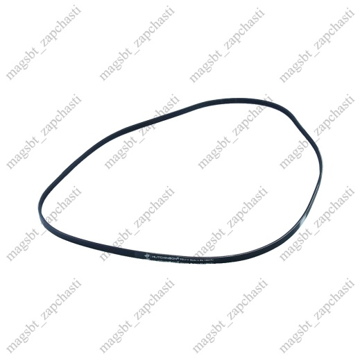 Washing Machine Belt 1244 J4 PH Hutchinson (INDESIT 378048) photo 1 - Washing Machine Belt 1244 J4 PH Hutchinson (INDESIT 378048) photo 1 -