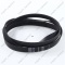 15791_2 Belt 1195 8PHE Hutchinson Ariston, INDESIT Whirlpool photo 3 -