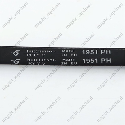 Ремень сушильных машин 1951 H7 PH Hutchinson (BRANDT 57X2351) photo 2402002 Ремень сушильных машин 1951 H7 PH Hutchinson (BRANDT 57X2351) photo 2402002