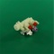 20138_3 *Electromagnetic filling valve of washing machine 2 90˚ Ø12 mm chip 220V Robertshaw photo 4 -