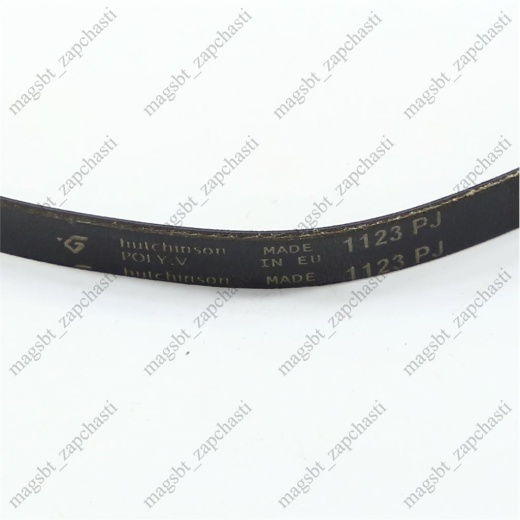 *Belt 1123 J4 PJ ARISTON 056782 photo 2 - *Belt 1123 J4 PJ ARISTON 056782 photo 2 -