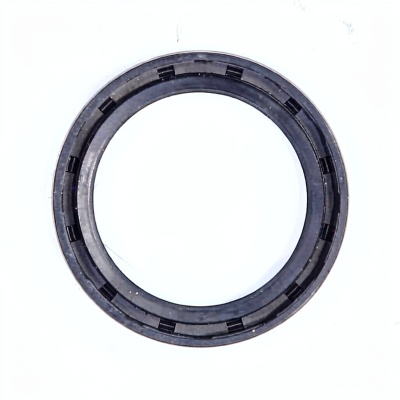 *Tub oil seal 45x60x07 GP TZ photo 2456014