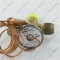 1584_2 TRV 22-2.0 k photo 3 -