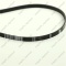 *Dryer belt 1880 J5 PJ Optibelt (MIELE 5689130) photo 2 - 