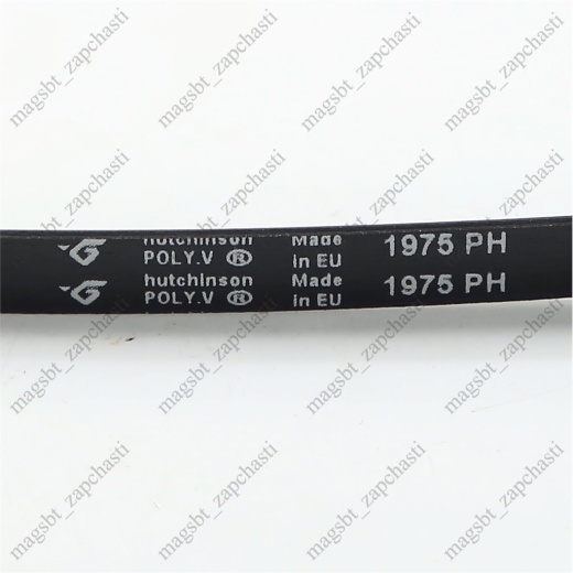 Вrying machine belt 1975 H7 PH Hutchinson (ARDO 416000600) photo 2 - 